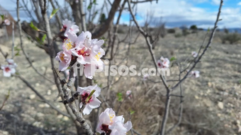Terreno en venta en Salinas