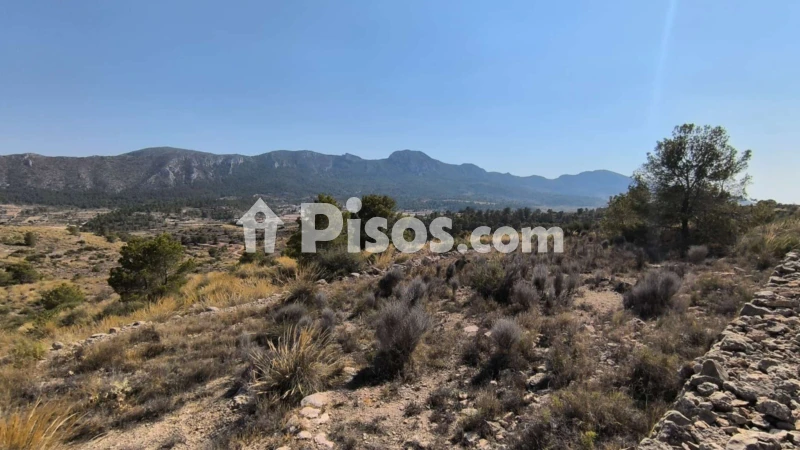 Terreno en venta en La Romana