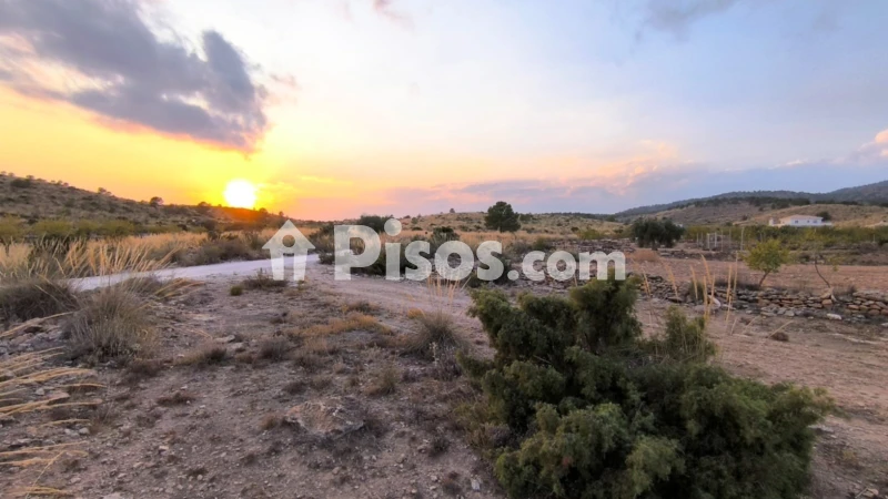 Terreno en venta en El Pinós - Pinoso