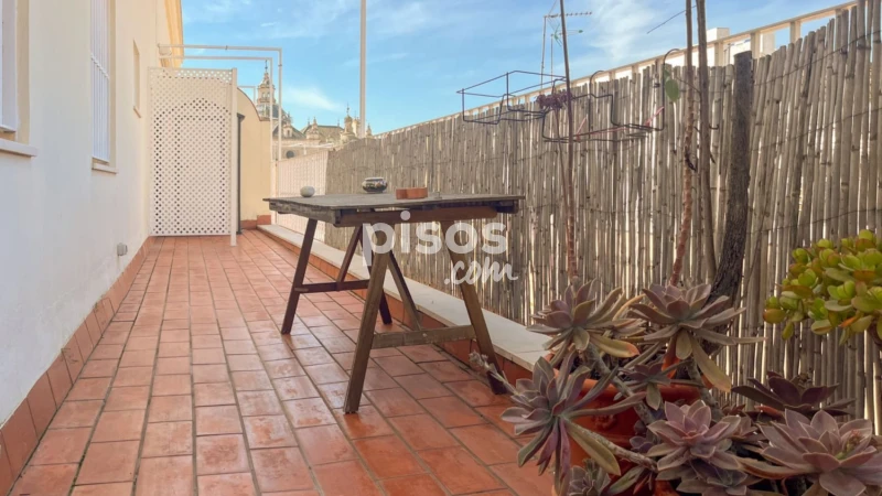 Ático en alquiler en Centro - Plza. Encarnación - Santa Catalina, Alfalfa (Distrito Casco Antiguo. Sevilla Capital) de 1.600 €<span>/mes</span>