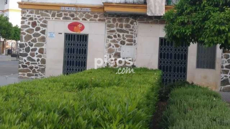 Local comercial en venta en Avenida de Pío XII, Palma del Río de 46.000 €