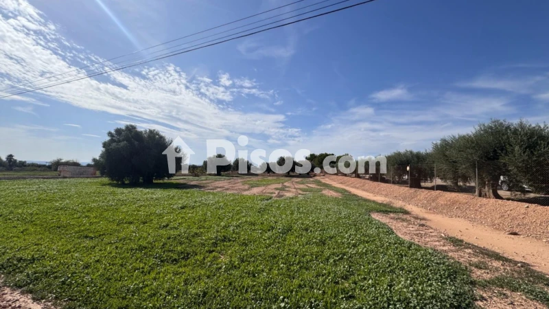 Terreno en venta en Crevillent