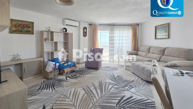 Pis – Alicante - Alacant