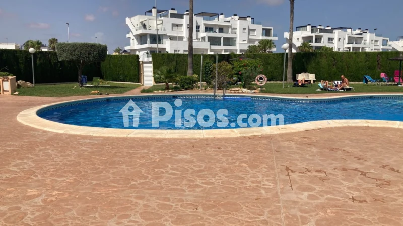 Pis – Orihuela