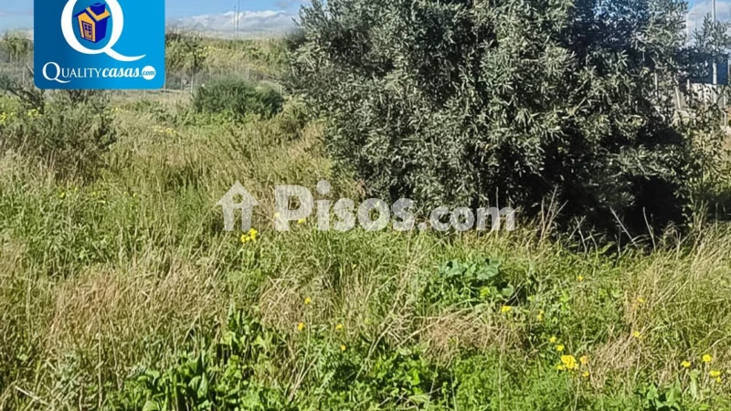 Terreno en venta en La Almajada