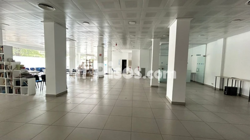 Local comercial en alquiler en Avenida Cronista Mateo y Sotos