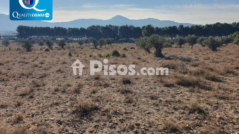 Terreno en venta en Elda
