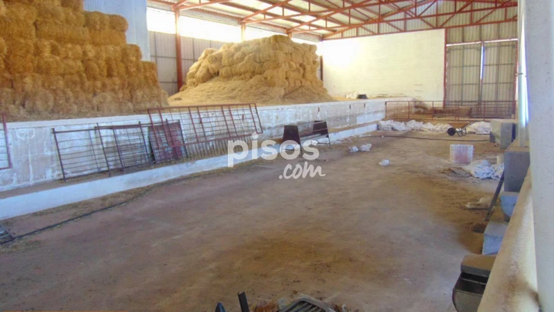 Rustic property for sale in Villanueva de los Infantes, Villanueva de los Infantes of 260.000 €