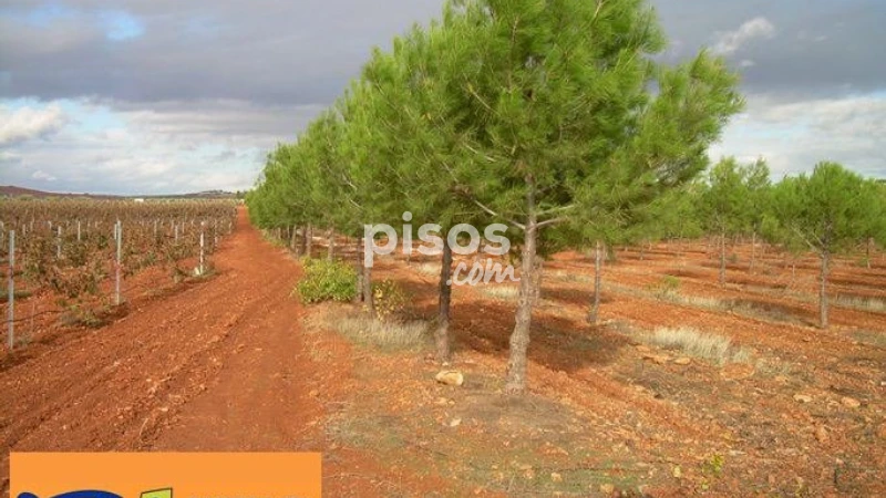 Rustic property for sale in Pantano Cozar, Valdepeñas of 32.000 €