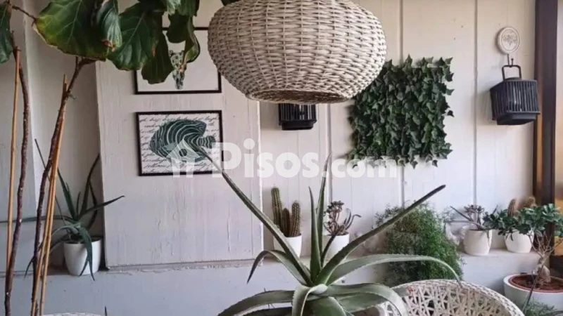 Piso – Alacant / Alicante, l'Eixample, l'Alacantí