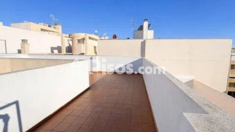 Pis – Torrevieja