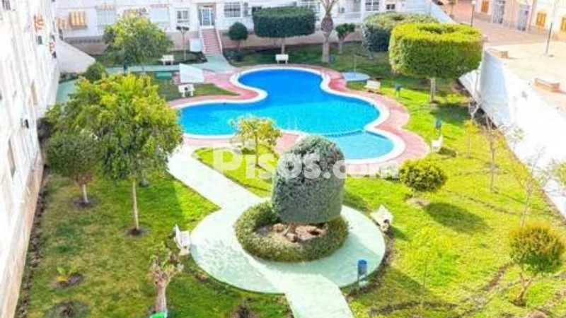 Pis – Torrevieja, San Roque