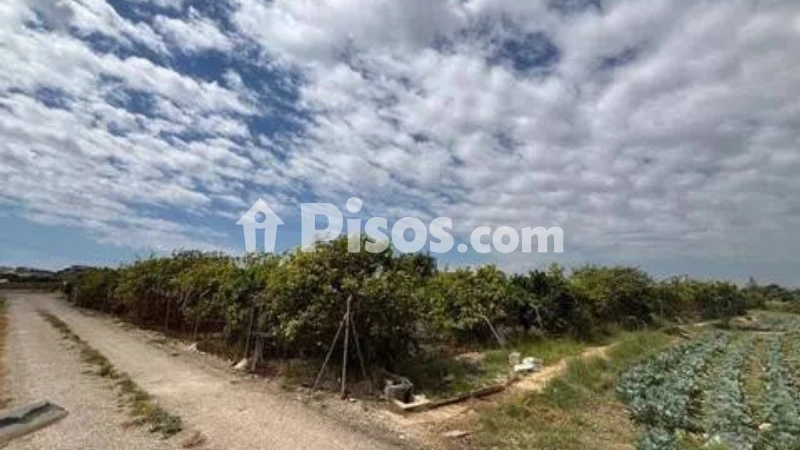 Piso – Guardamar del Segura
