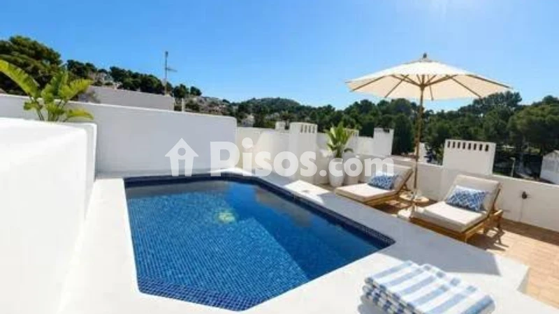 Pis – Moraira