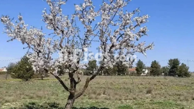 Terreno en venta en Albacete Capital