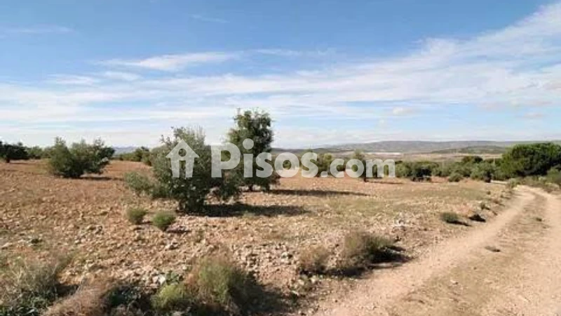 Terreno en venta en Biar