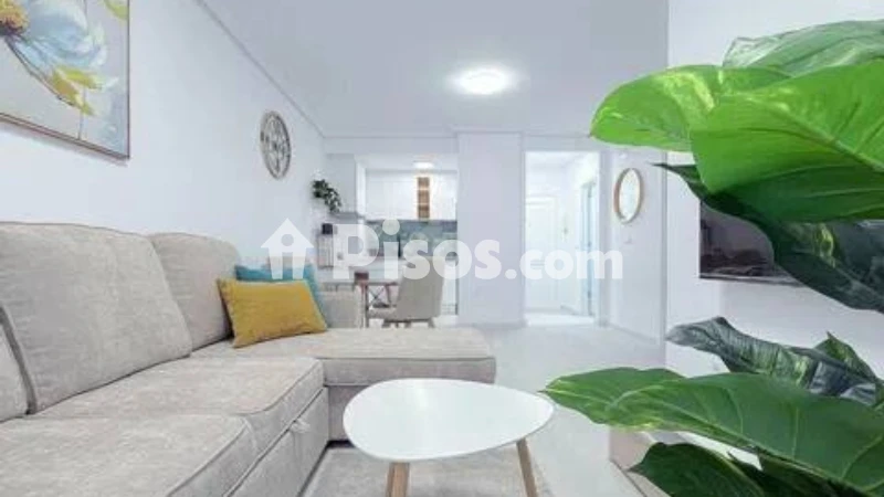 Piso – Torrevieja, El Palmeral