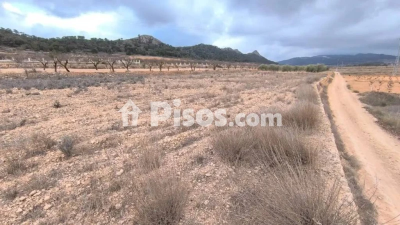 Terreno en venta en Calle N-A, -1