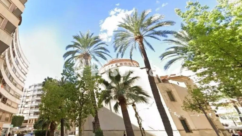 Pis – Elx - Elche