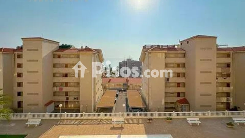 Pis – Elx / Elche, Urbanització Els Arenals del Sol