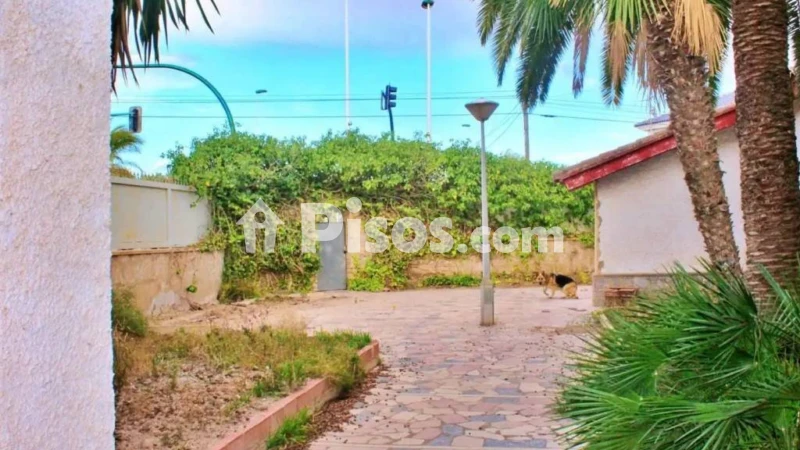 Casa – Elx - Elche