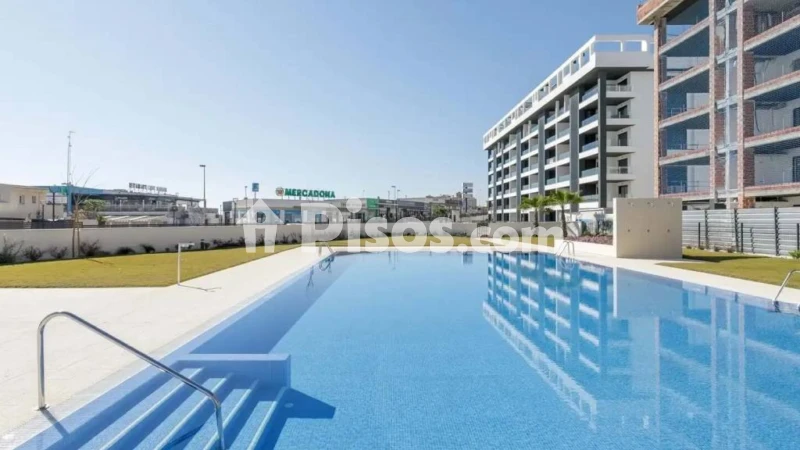Pis – Torrevieja