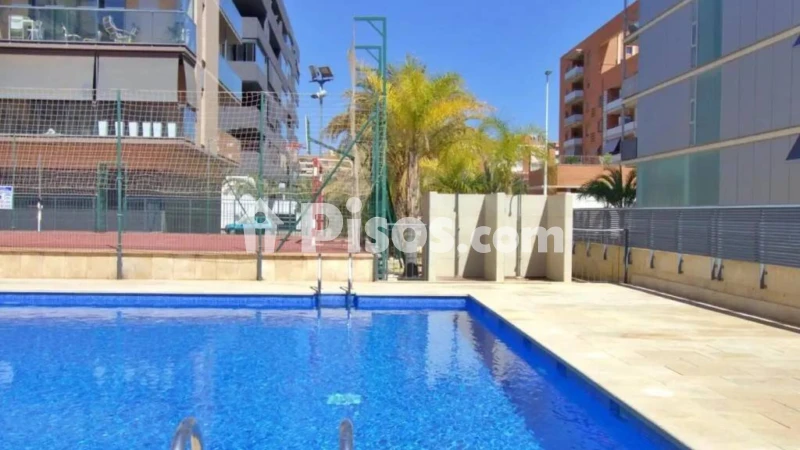 Pis – Elx - Elche