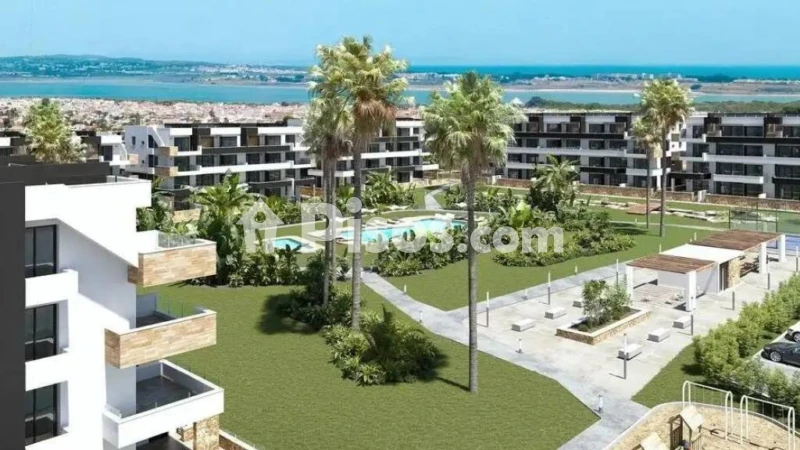 Pis – Torrevieja
