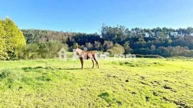 Terreno en venta en As Neves