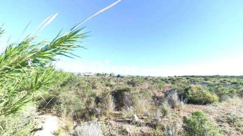 Terreno en venta en Carretera a Elche