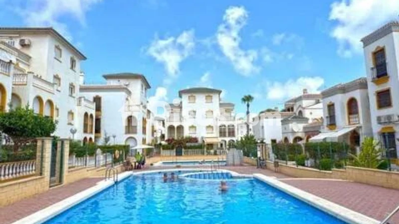 Pis – Torrevieja