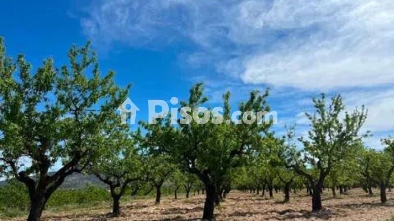 Terreno en venta en Hondón de los Frailes