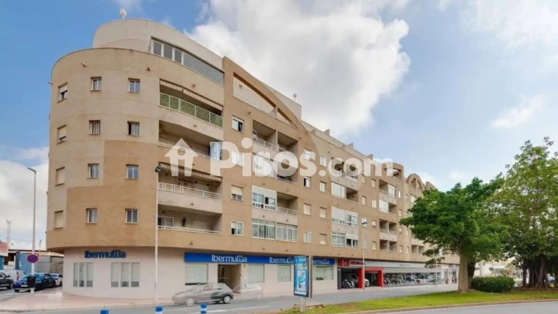 Pis – Torrevieja