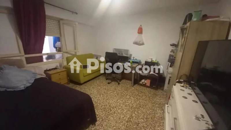 Pis – Elx - Elche