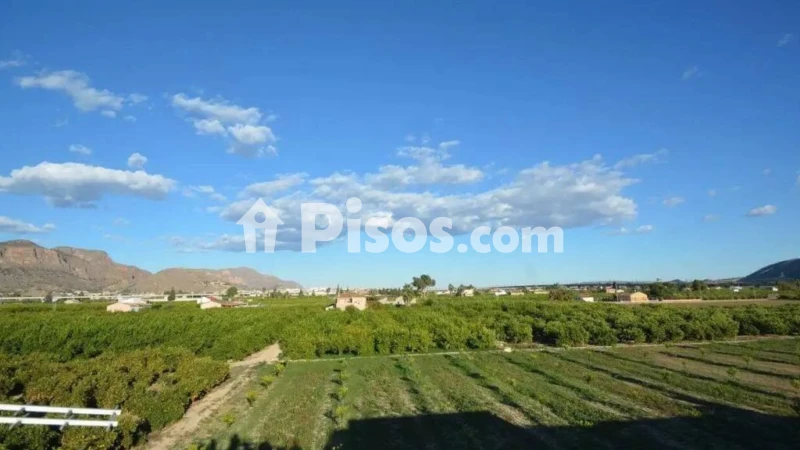 Pis – Orihuela, El Mansegal-Vereda de Buenavida, Los Desamparados