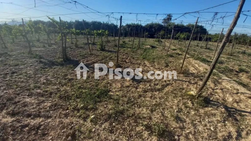Casa – Elx - Elche