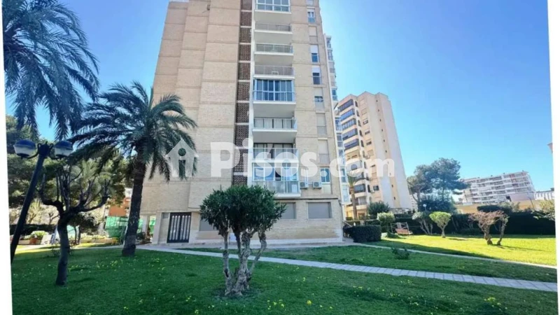 Pis – Alicante - Alacant