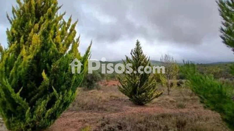 Terreno en venta en Aýna