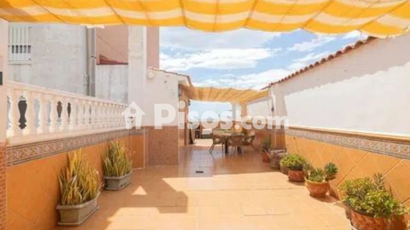 Pis – Elx - Elche