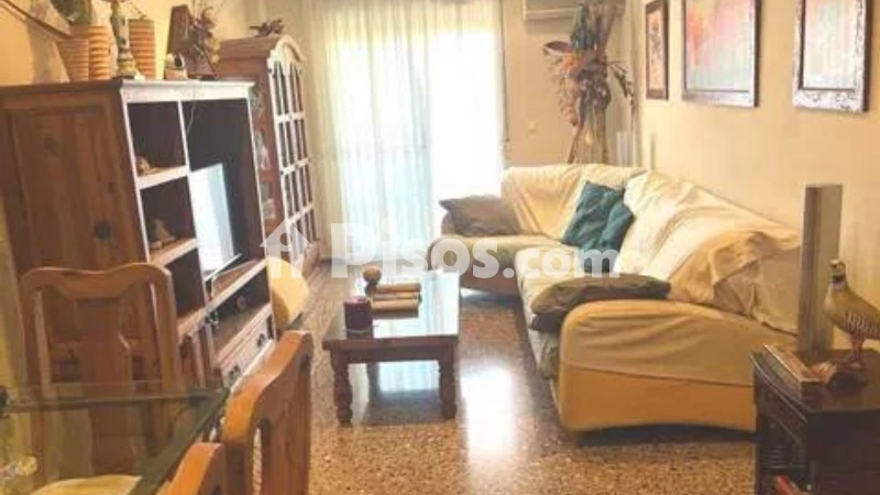 Pis – Elx - Elche