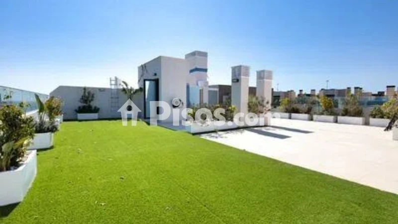 Pis – El Campello