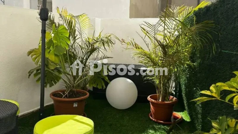 Pis – Alicante - Alacant