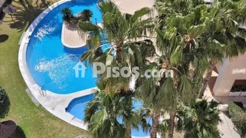 Pis – Alicante - Alacant