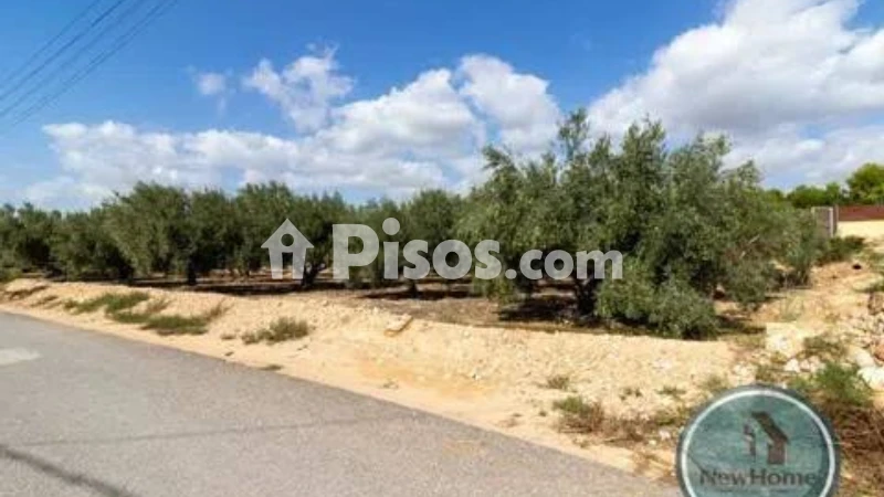 Terreno en venta en Crevillent