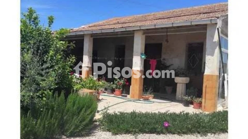 Pis – Elche, la Foia