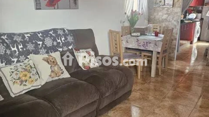 Pis – Torrevieja