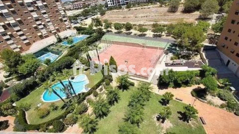 Pis – Alicante - Alacant
