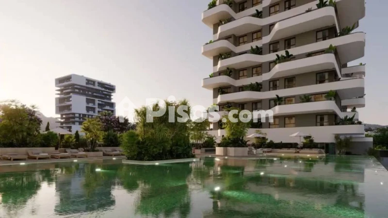 Piso