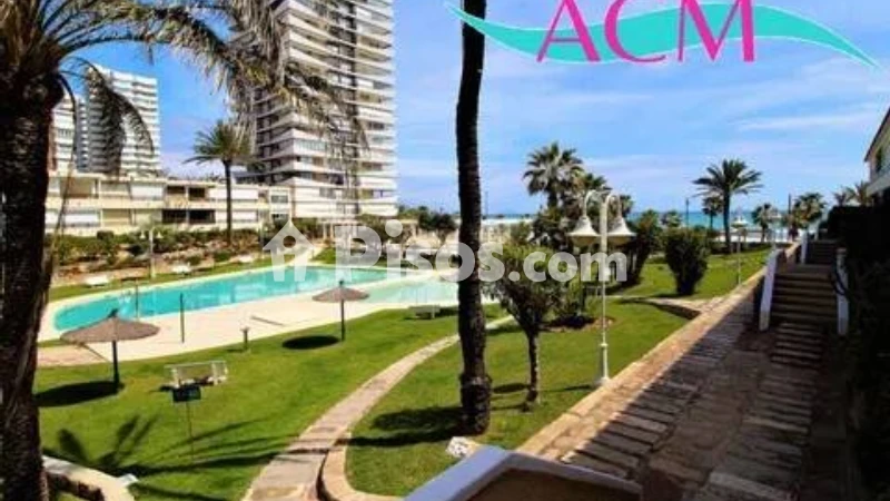 Pis – Alicante - Alacant