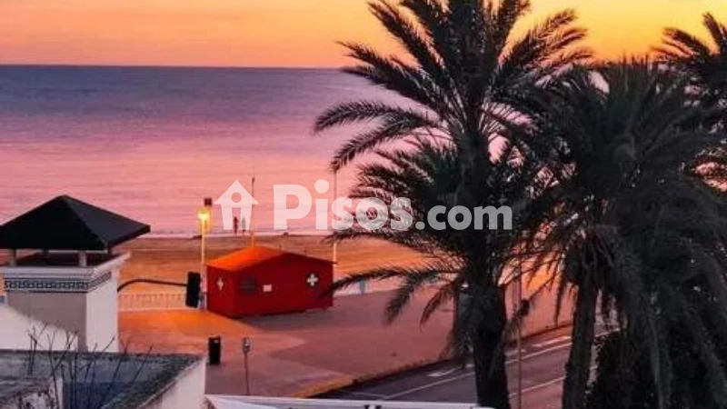 Pis – Torrevieja